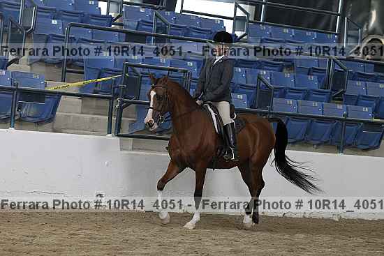 Proof Number 10r14_4051