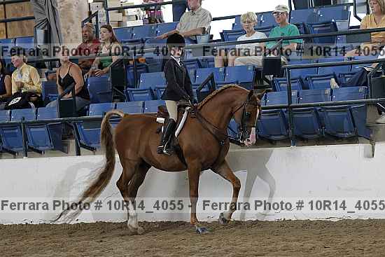Proof Number 10r14_4055