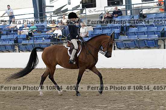 Proof Number 10r14_4057