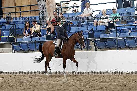 Proof Number 10r14_4058