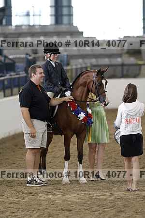 Proof Number 10r14_4077