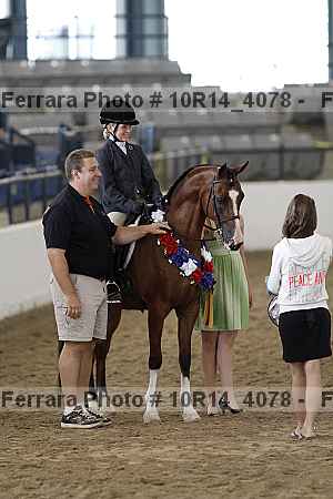 Proof Number 10r14_4078