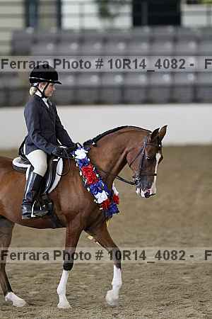Proof Number 10r14_4082