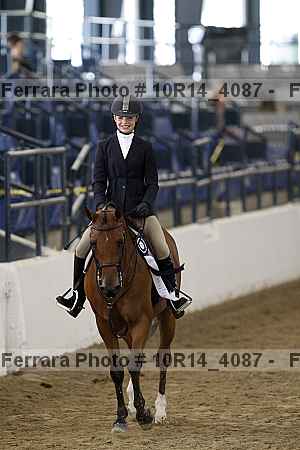 Proof Number 10r14_4087