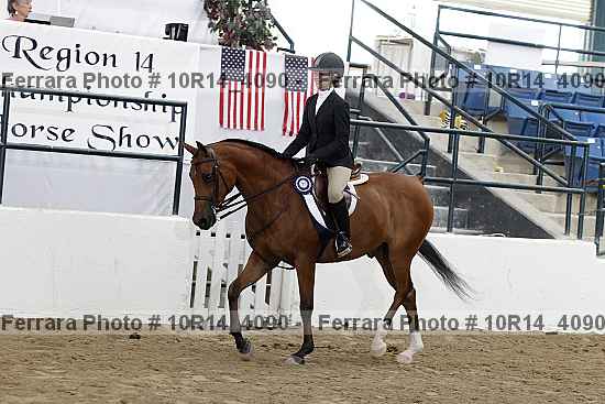 Proof Number 10r14_4090
