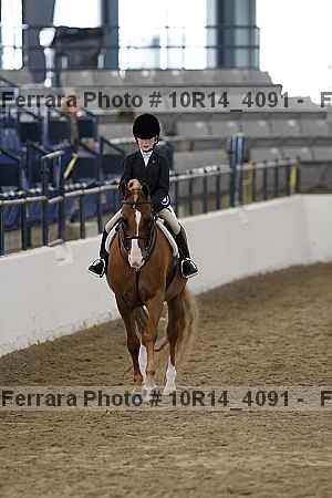 Proof Number 10r14_4091