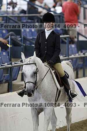 Proof Number 10r14_4093