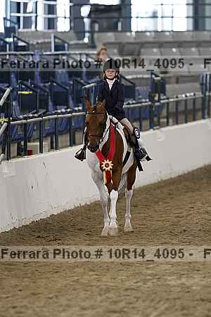 Proof Number 10r14_4095