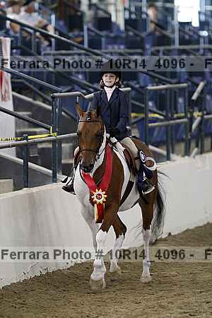 Proof Number 10r14_4096
