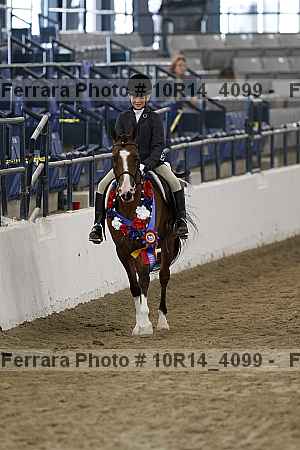 Proof Number 10r14_4099