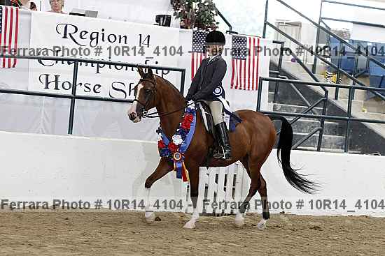 Proof Number 10r14_4104