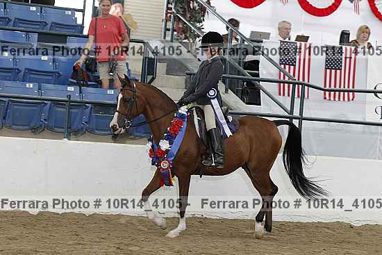 Proof Number 10r14_4105