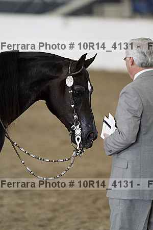 Proof Number 10r14_4131