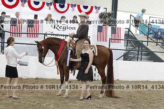 Proof Number 10r14_4134
