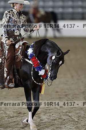 Proof Number 10r14_4137