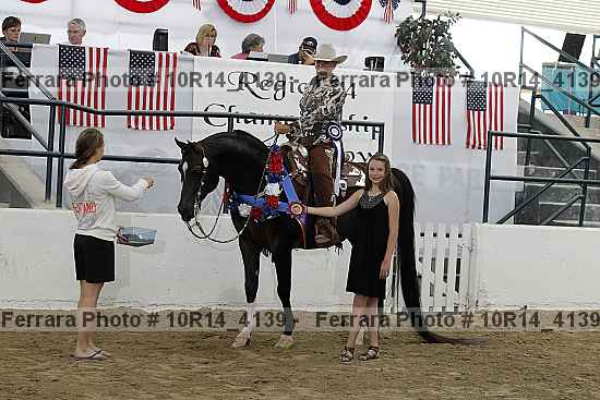 Proof Number 10r14_4139