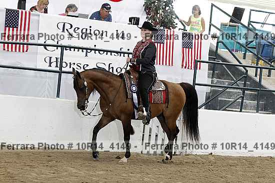 Proof Number 10r14_4149