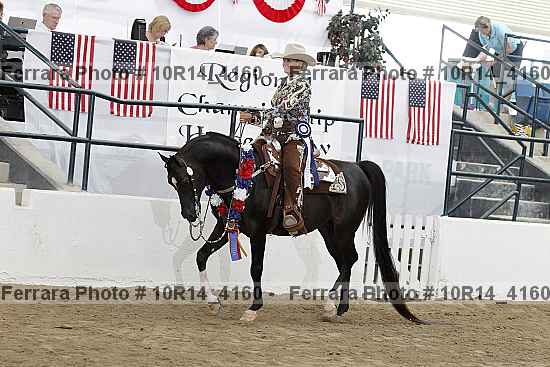 Proof Number 10r14_4160
