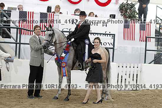 Proof Number 10r14_4193