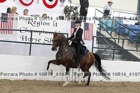 Proof Number 10r14_4197