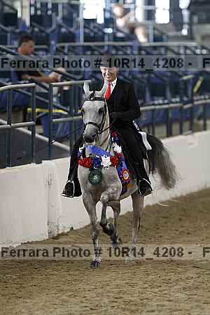 Proof Number 10r14_4208