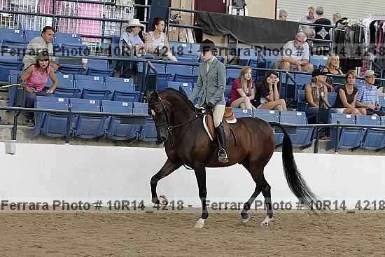 Proof Number 10r14_4218