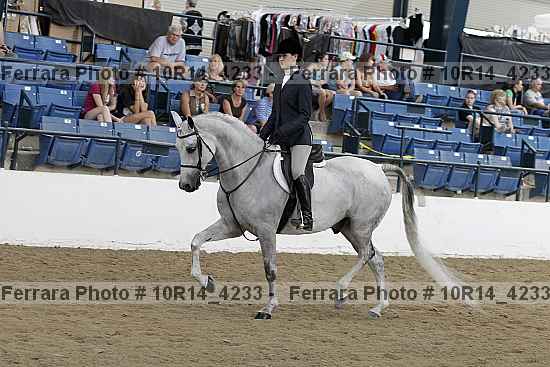 Proof Number 10r14_4233