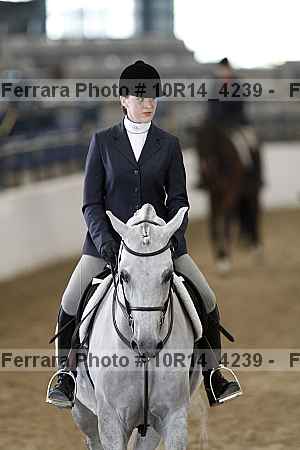 Proof Number 10r14_4239
