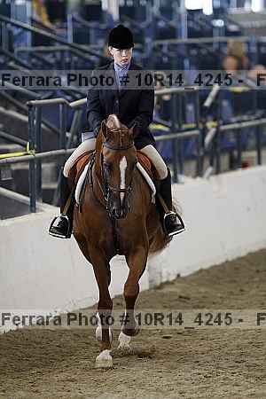 Proof Number 10r14_4245