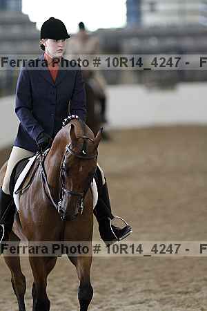 Proof Number 10r14_4247