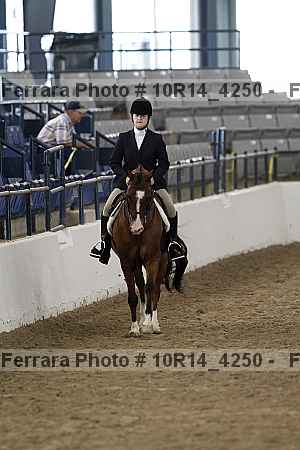 Proof Number 10r14_4250