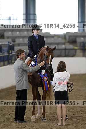 Proof Number 10r14_4256