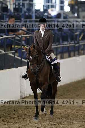 Proof Number 10r14_4261