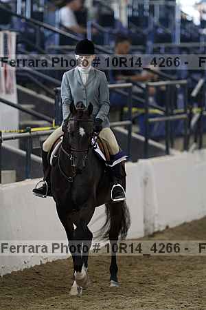 Proof Number 10r14_4266