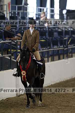Proof Number 10r14_4272