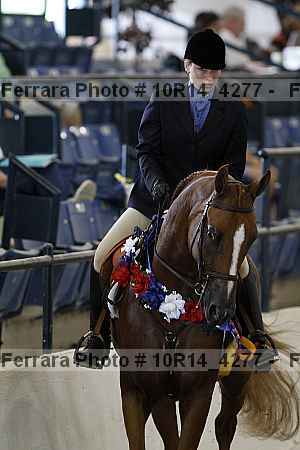Proof Number 10r14_4277