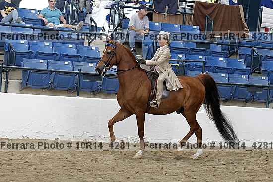 Proof Number 10r14_4281