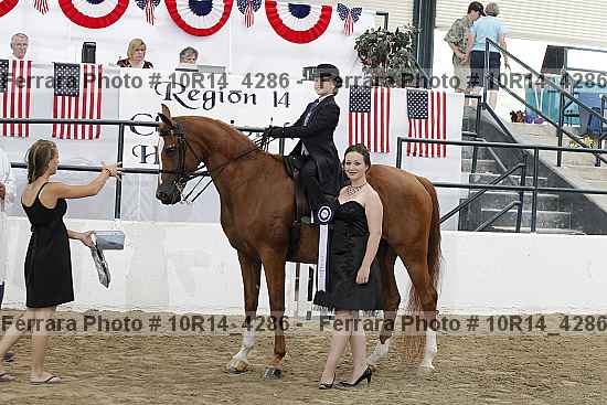 Proof Number 10r14_4286