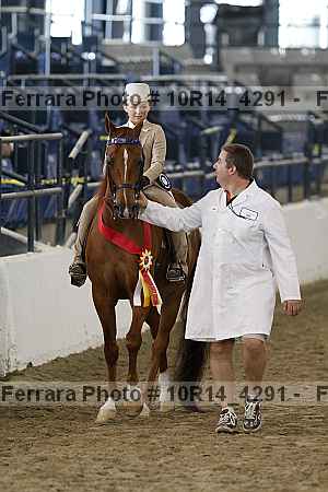 Proof Number 10r14_4291