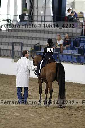 Proof Number 10r14_4292