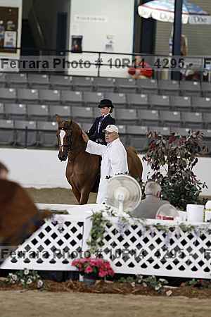 Proof Number 10r14_4295