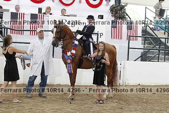 Proof Number 10r14_4296
