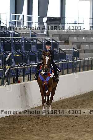 Proof Number 10r14_4303