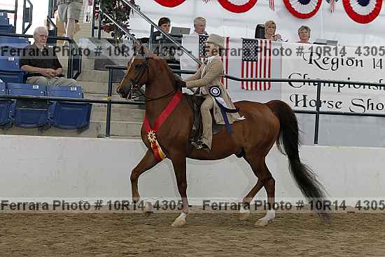 Proof Number 10r14_4305