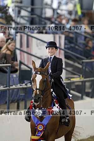 Proof Number 10r14_4307