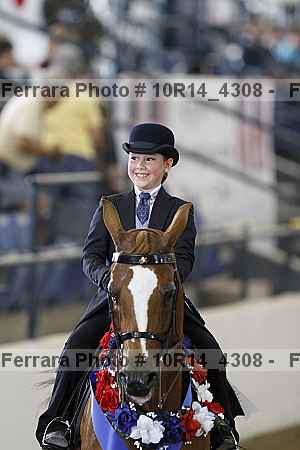 Proof Number 10r14_4308
