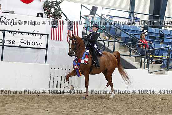 Proof Number 10r14_4310