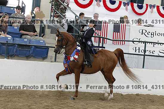 Proof Number 10r14_4311