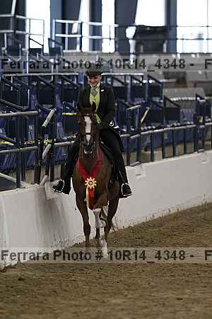 Proof Number 10r14_4348