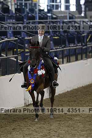 Proof Number 10r14_4351